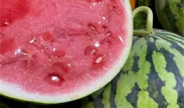 真假千金爆料吃瓜,揭秘娱乐圈的神秘瓜田